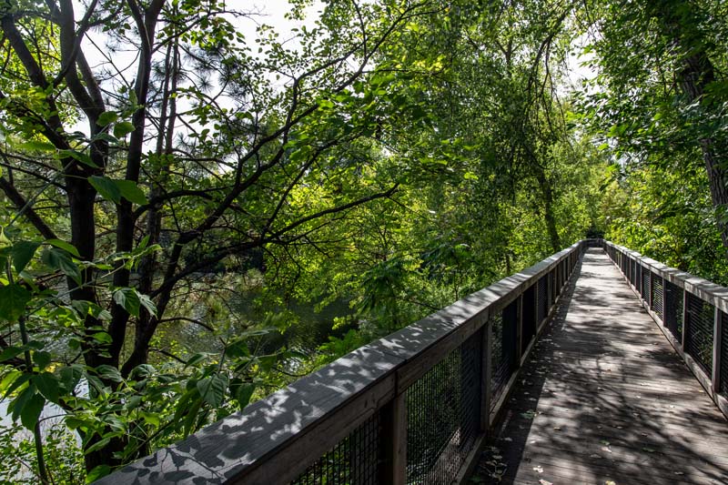 Pond-side walking bridge